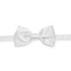 PAPILLON LUCIDO